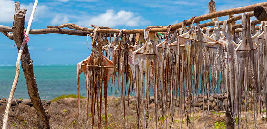 Port Mathurin - Rodrigues